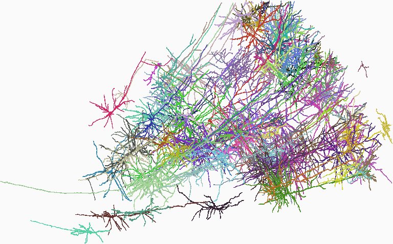 104 reconstructed human cortical neurons, each in a different color